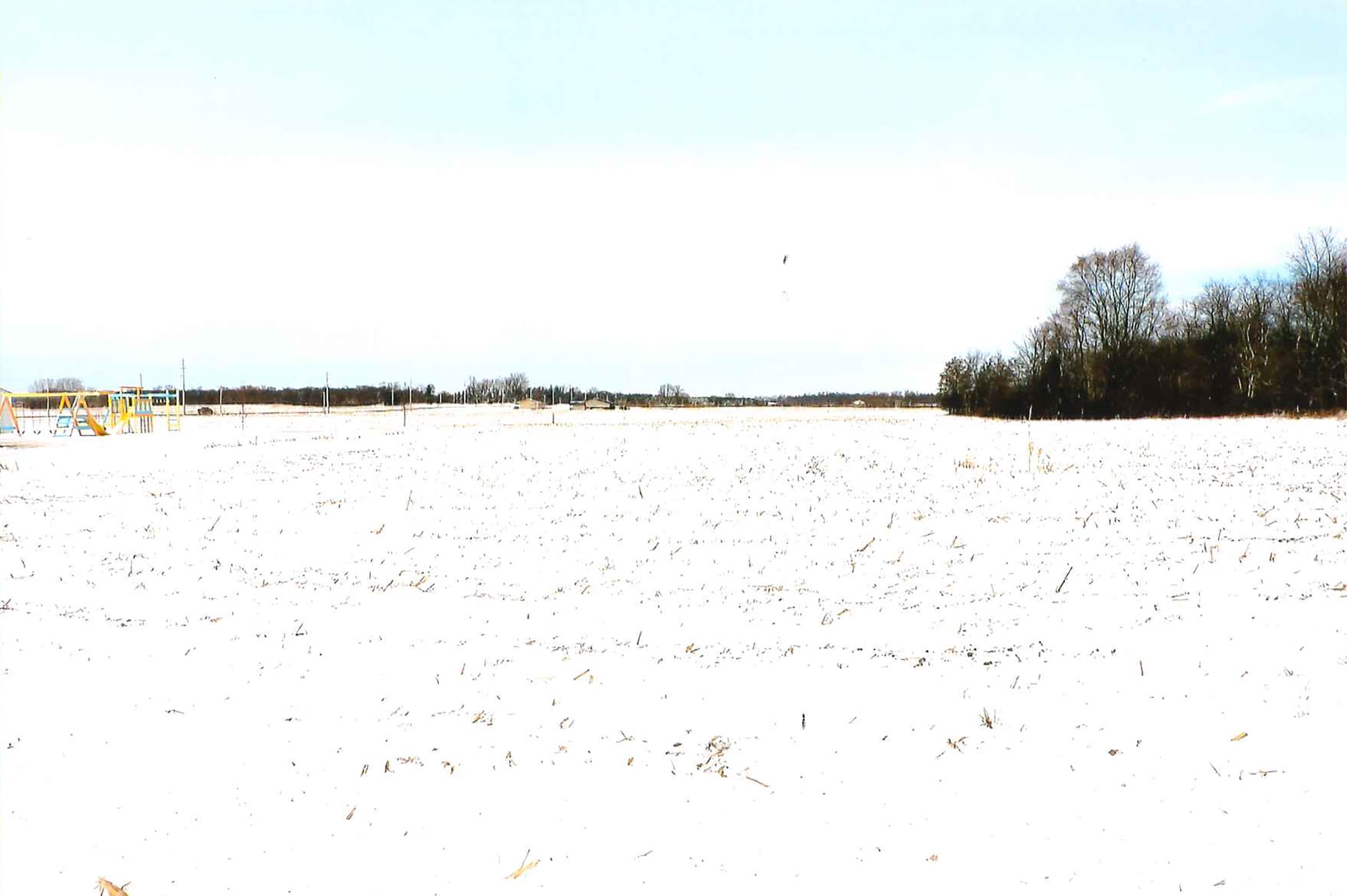 Property photo 4 - LAND AUCTION - 181.22+/- ACRE OFFERED IN 3 TRACTS IN JASPER CO., INDIANA